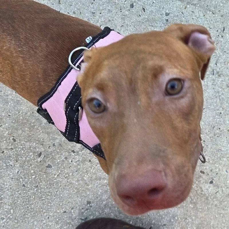 Samantha