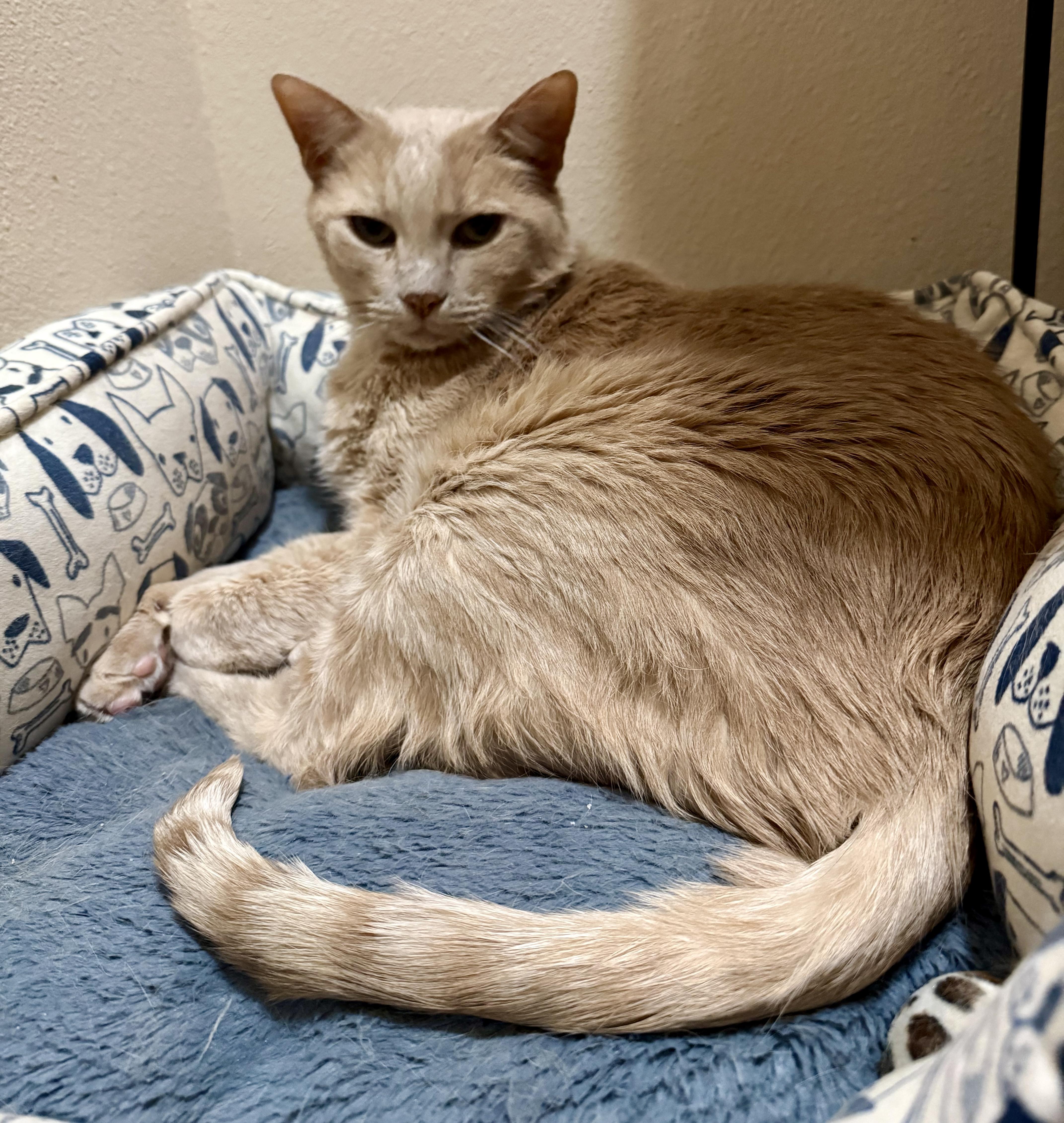 Trick And Treat thumbnail 2