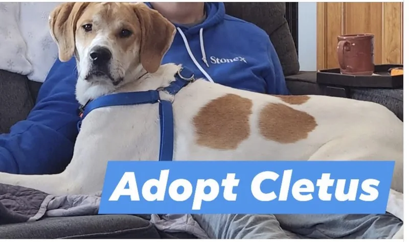 Cletus thumbnail 4