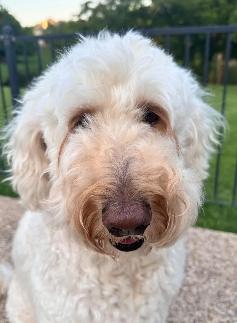 Macie thumbnail 2