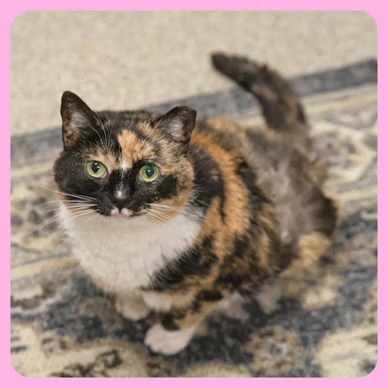 Rosie