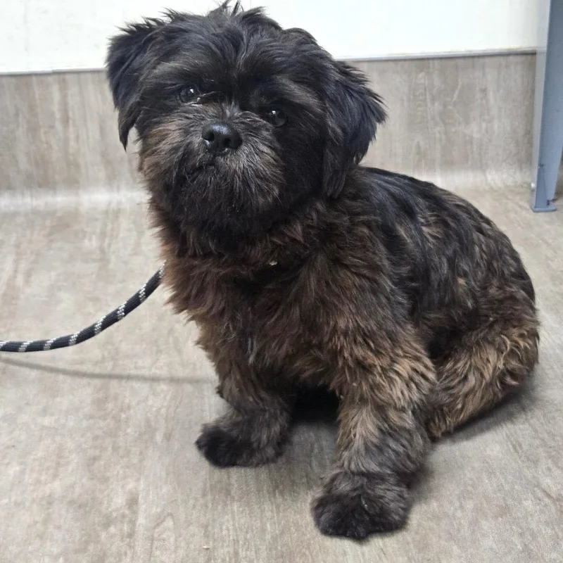 Name Unknown thumbnail 2