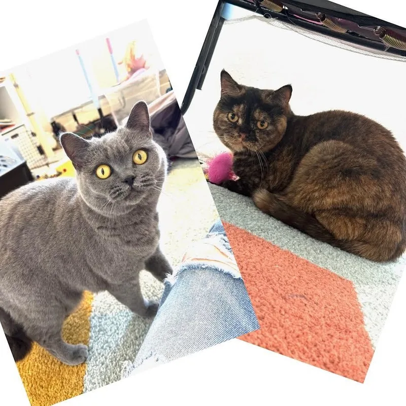 Ginger & Georgia Broadway thumbnail 2