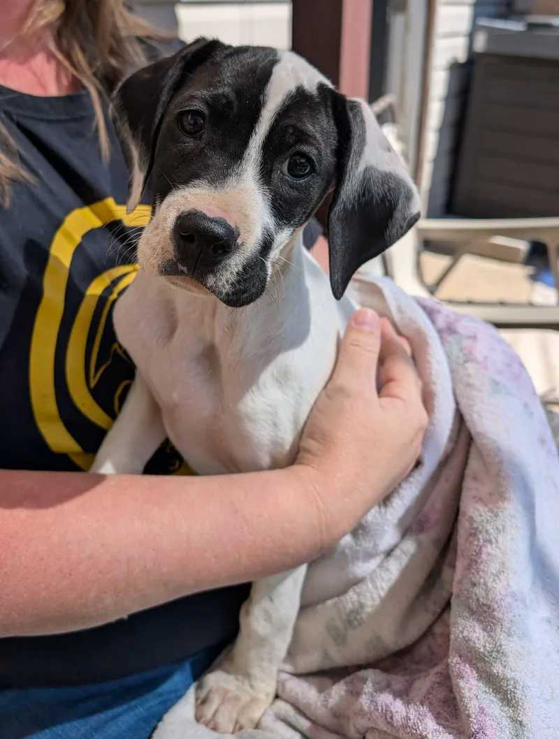 Lucy Lou thumbnail 2