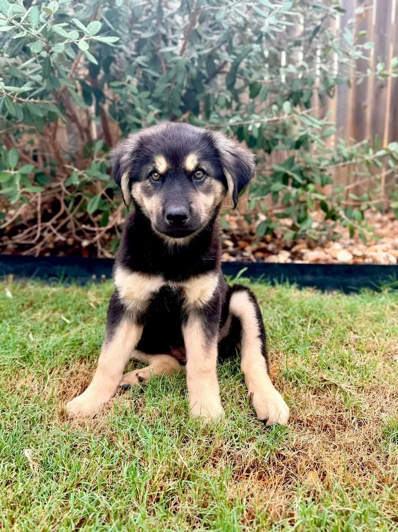 Luna