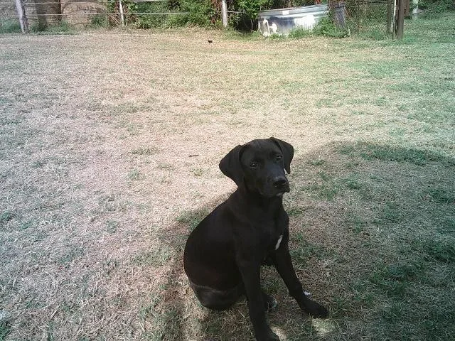 Maggie thumbnail 2