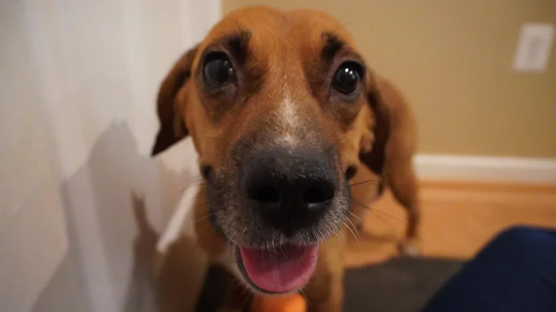 Hettie thumbnail 3