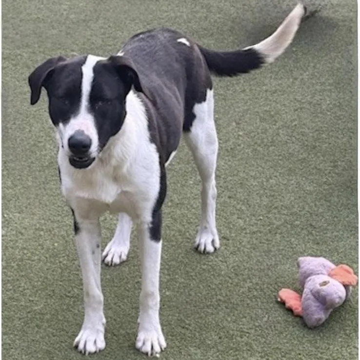 Charlotte thumbnail 2