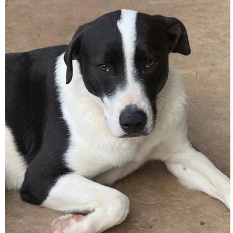 Charlotte thumbnail 4