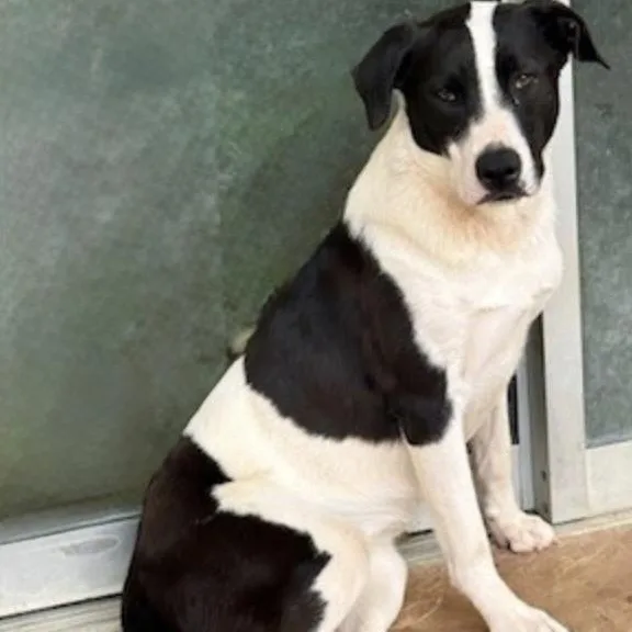 Charlotte thumbnail 6