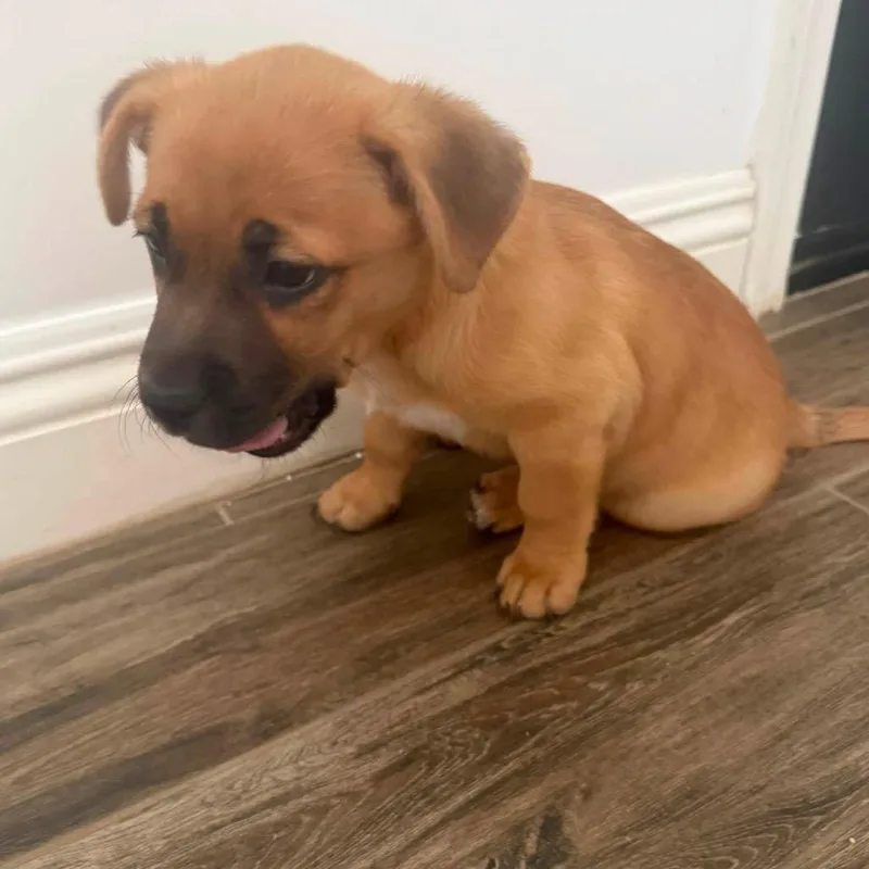 Max