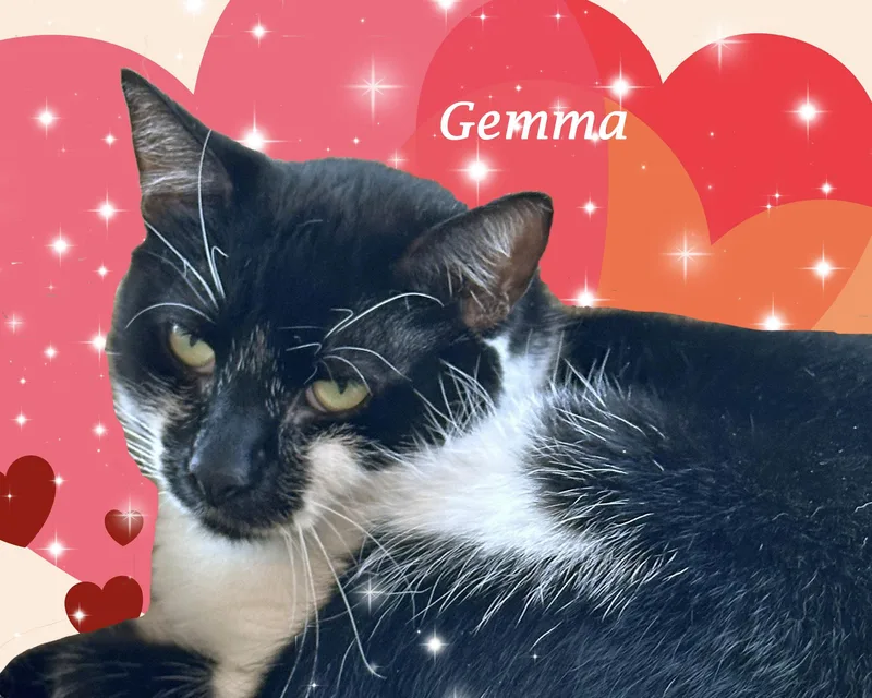 Gemma