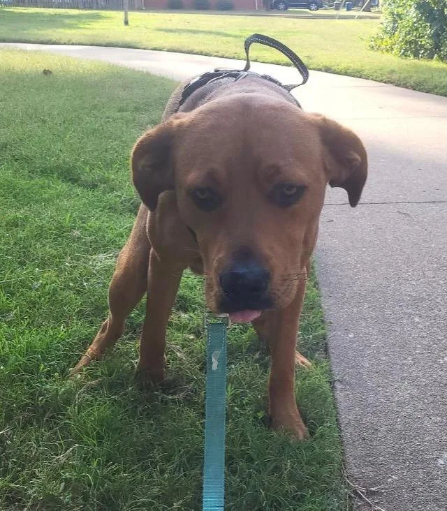 Charlie Cl thumbnail 2