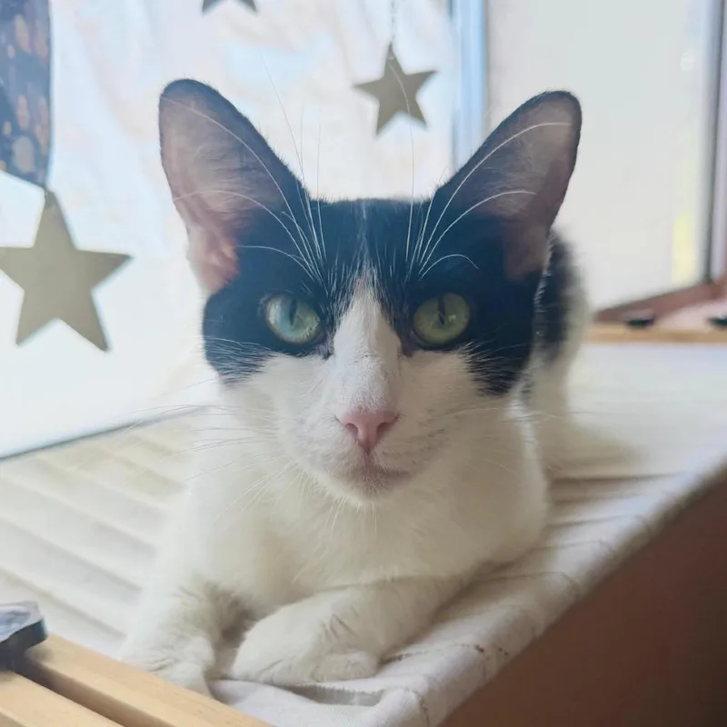 Gabby thumbnail 6
