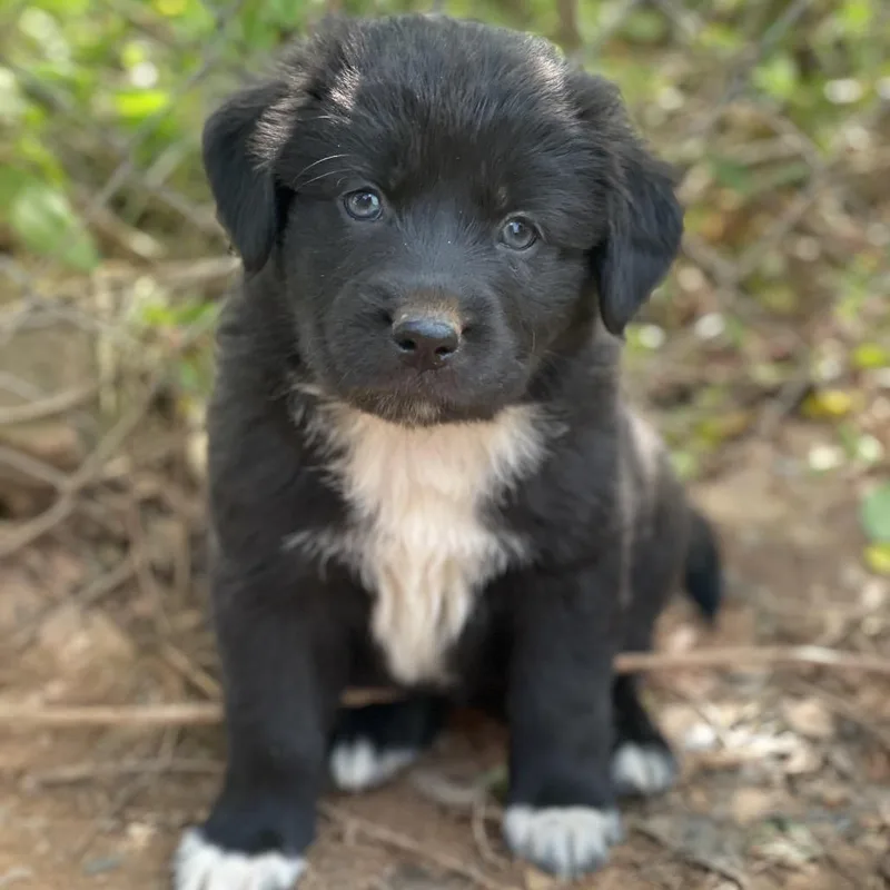 Bilbo Baggins thumbnail 6