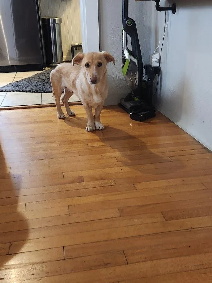 Sunshine thumbnail 2