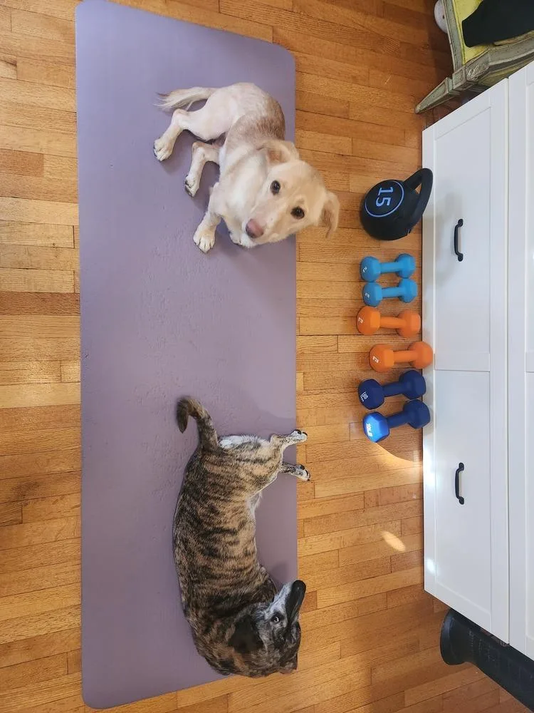 Sunshine thumbnail 3