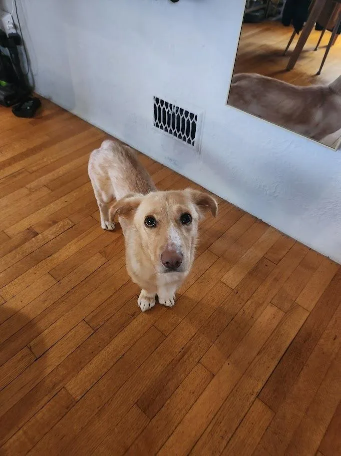 Sunshine thumbnail 4