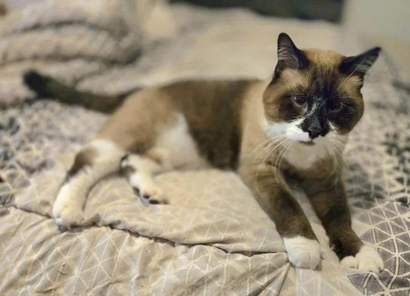 Mary Ann thumbnail 3