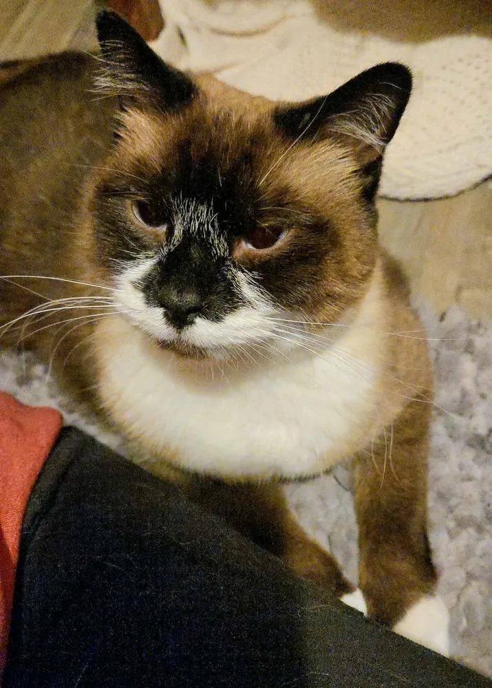 Mary Ann thumbnail 4