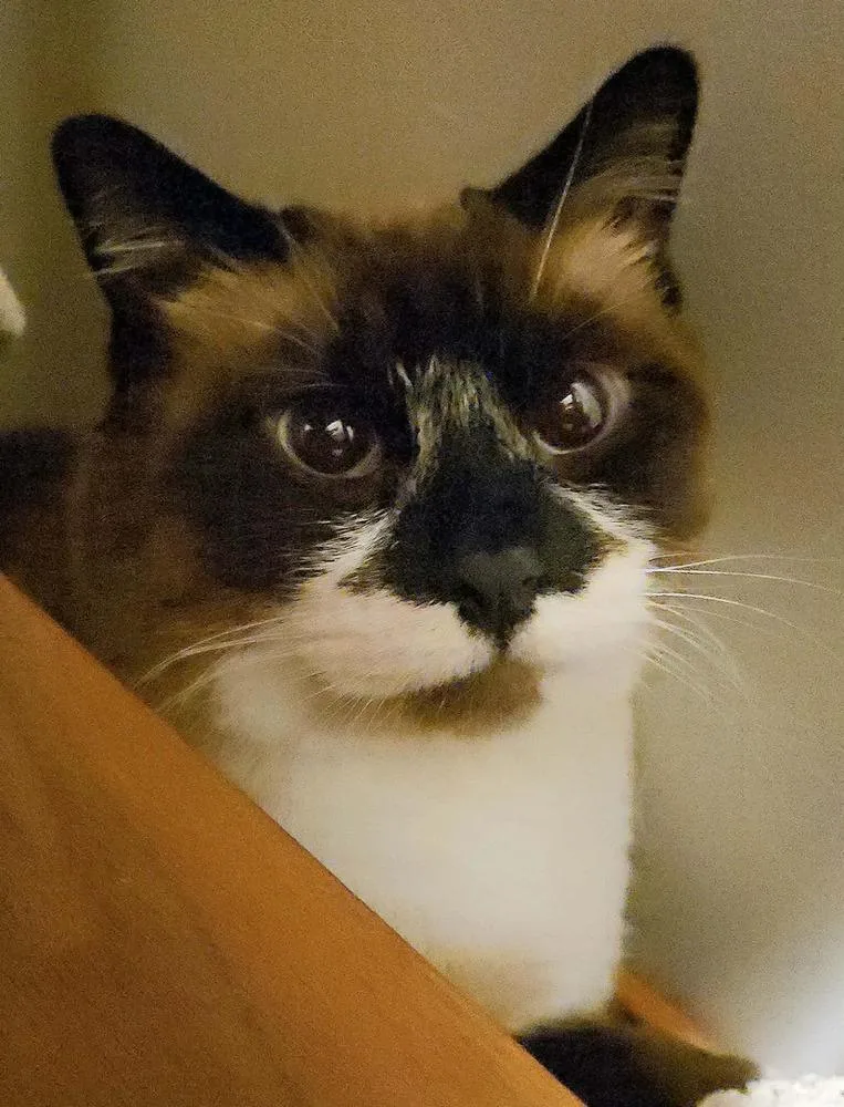 Mary Ann thumbnail 5