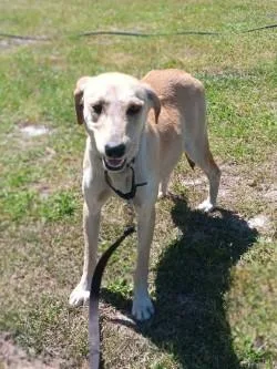 Snowflake thumbnail 2