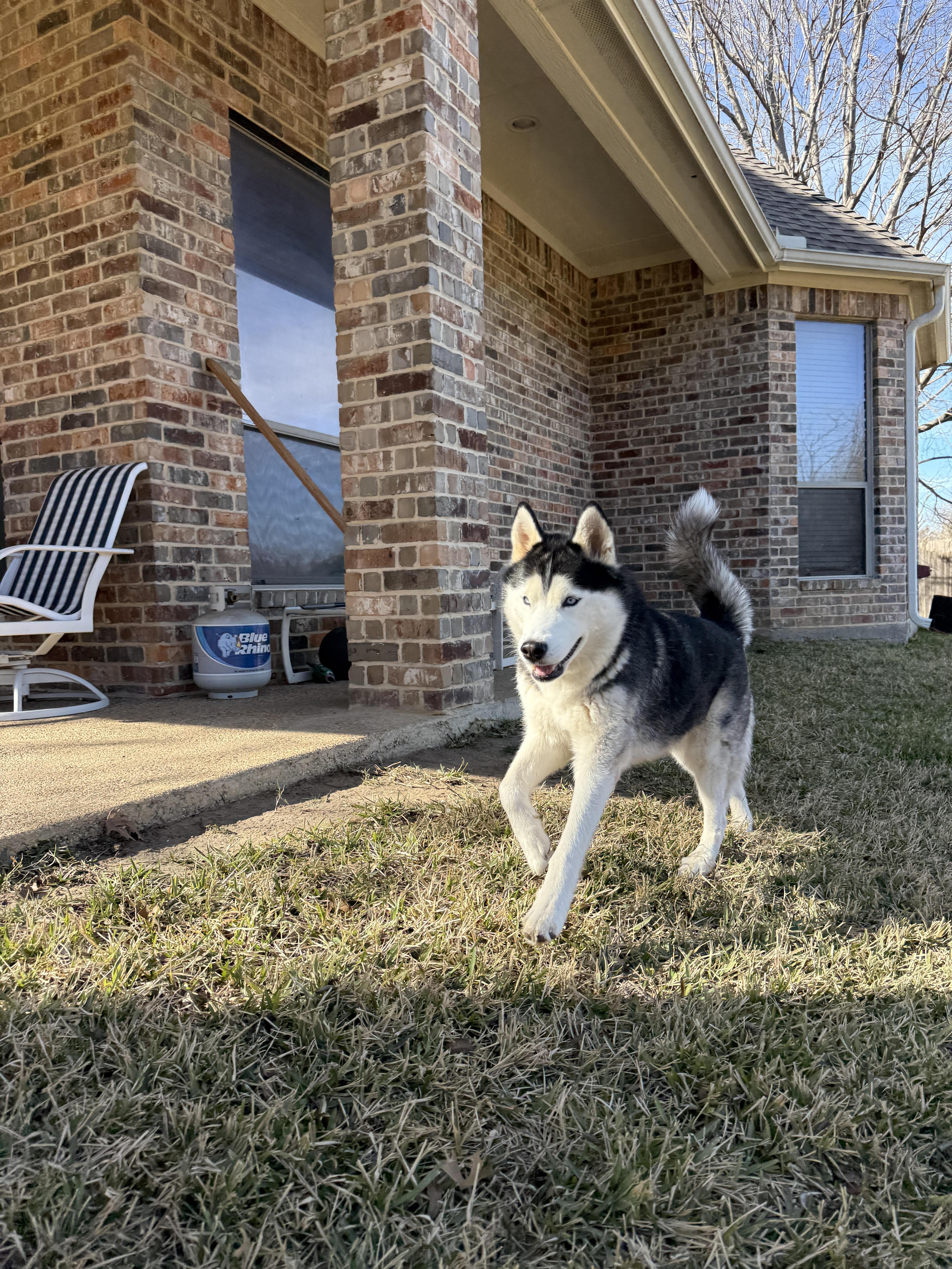 Cappuccino thumbnail 2