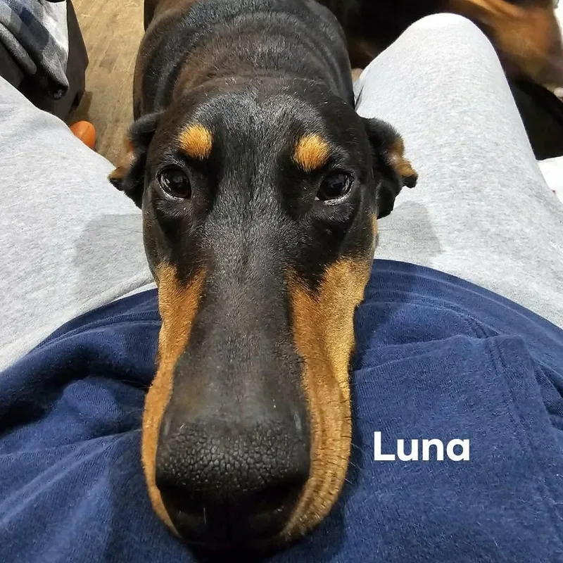 Luna