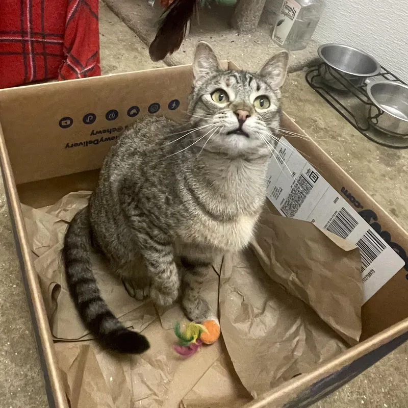 Traverse thumbnail 2