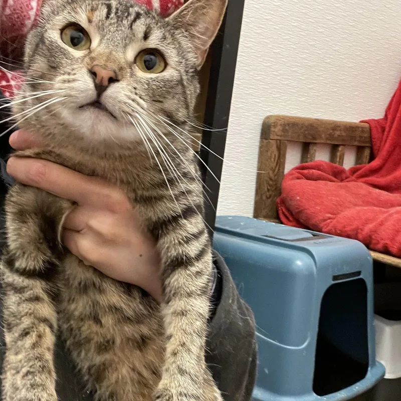 Traverse thumbnail 4