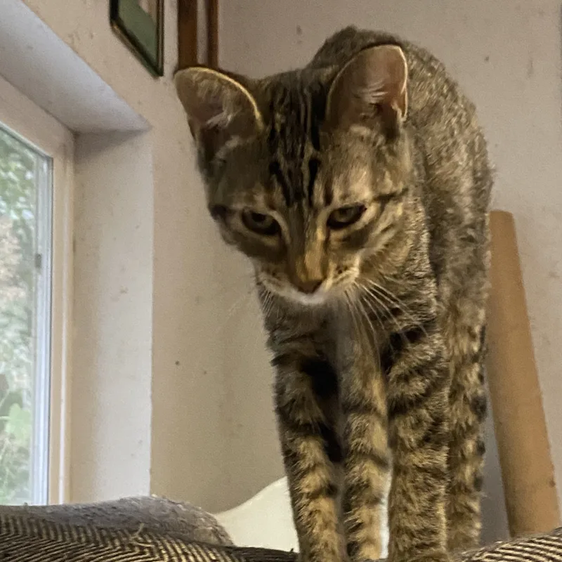 Traverse thumbnail 5