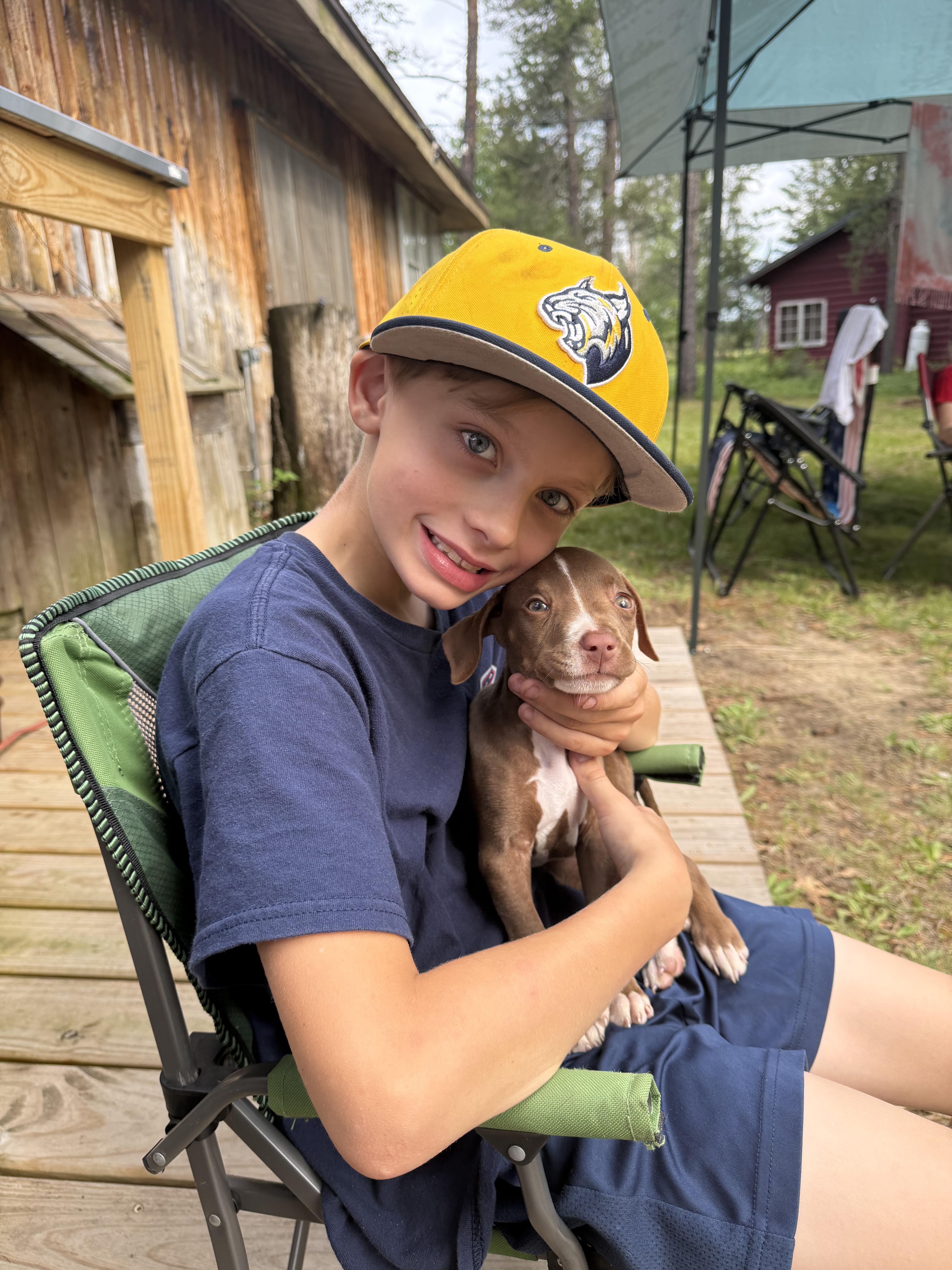 A baby medium-sized female Pointer dog named LIbby for adoption in Oxford, MI