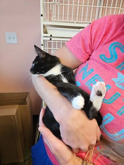 Twinkle Toes thumbnail 3