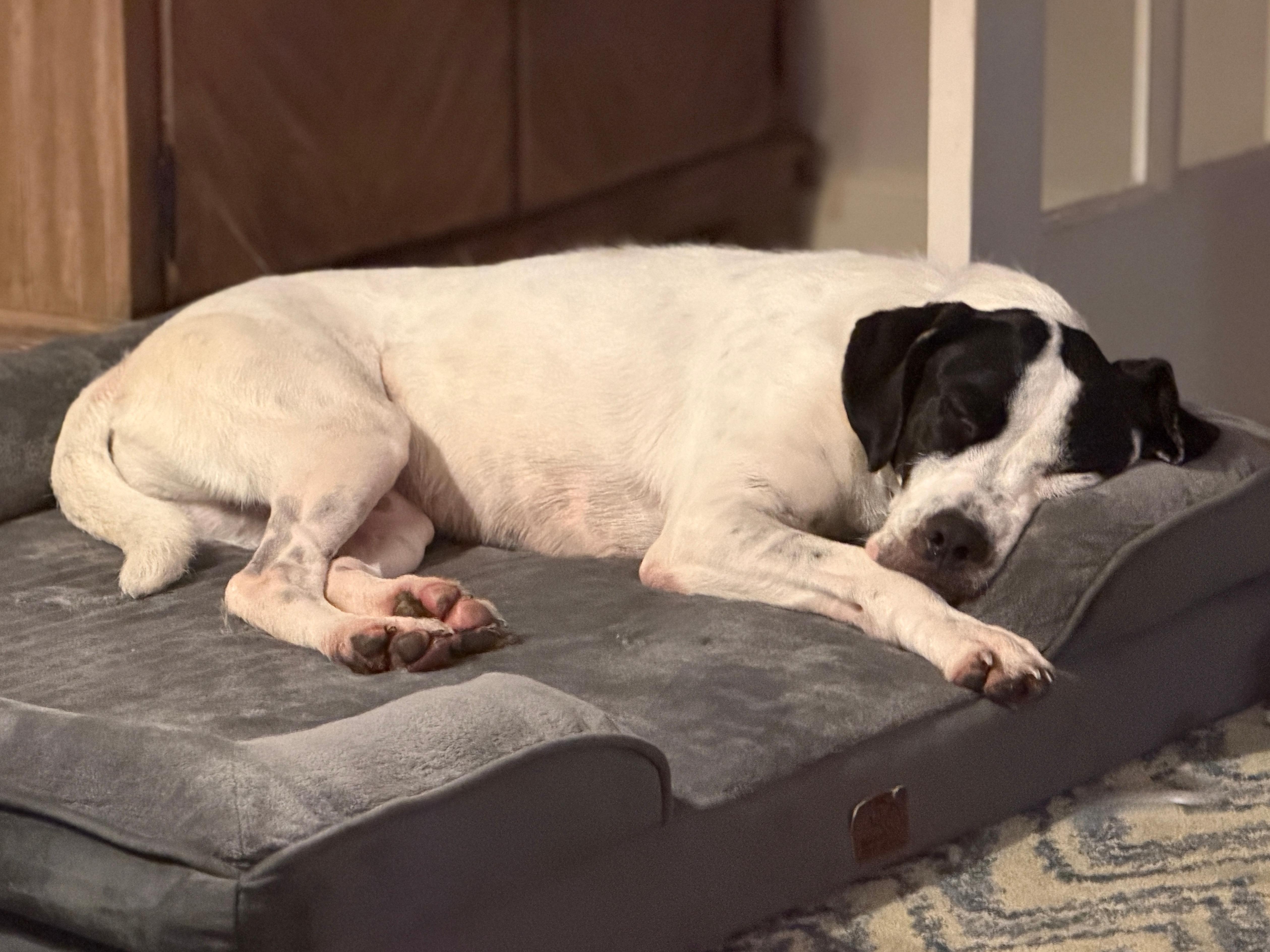 Snoopy thumbnail 6