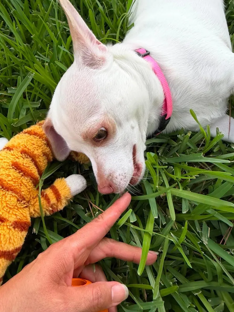 Bianca thumbnail 5