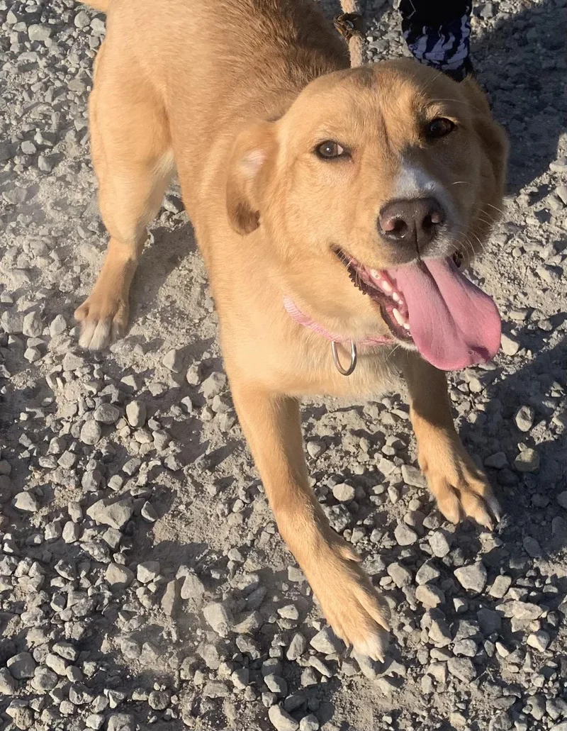 Carousel thumbnail 3