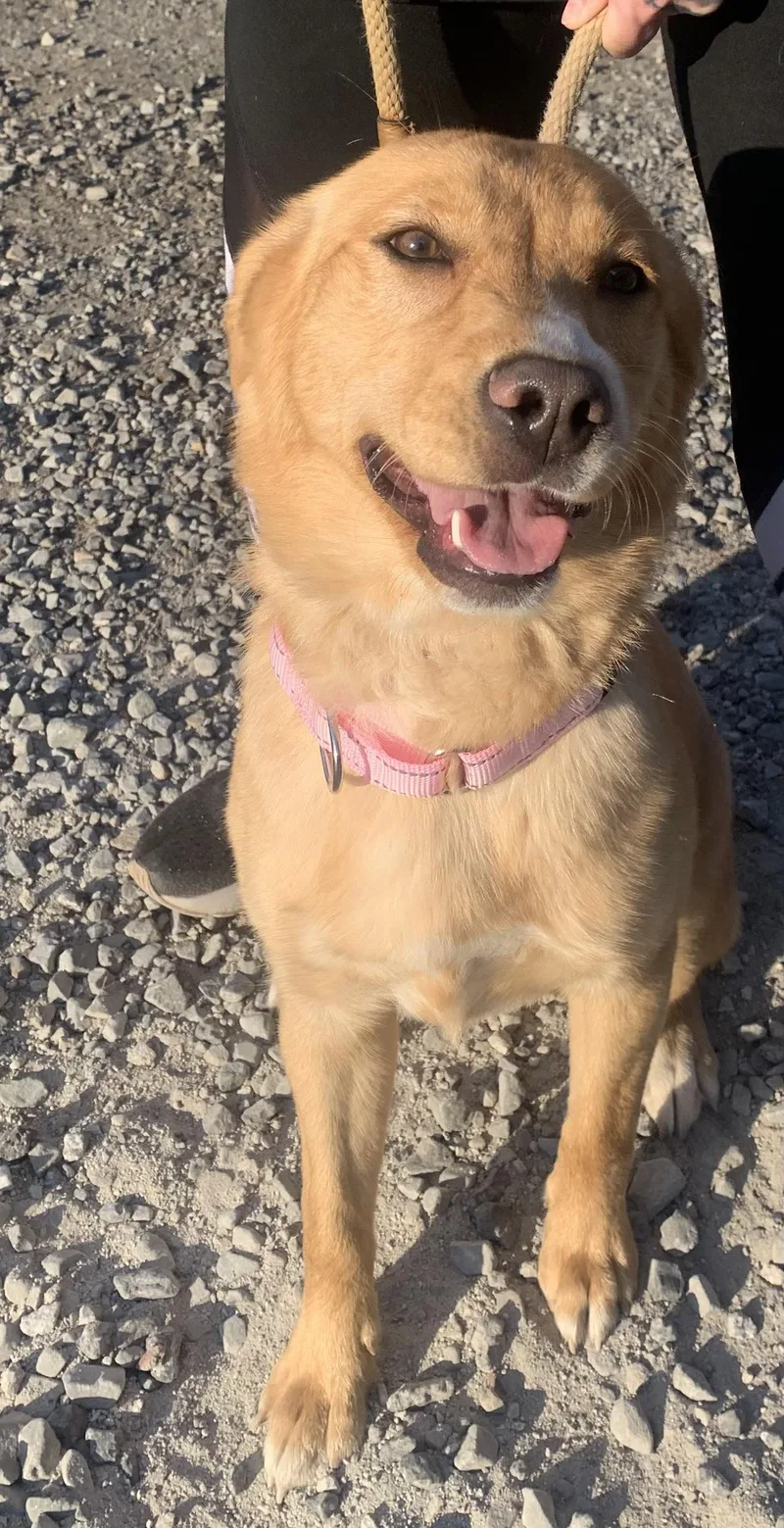 Carousel thumbnail 4