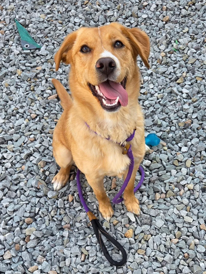 Carousel thumbnail 5