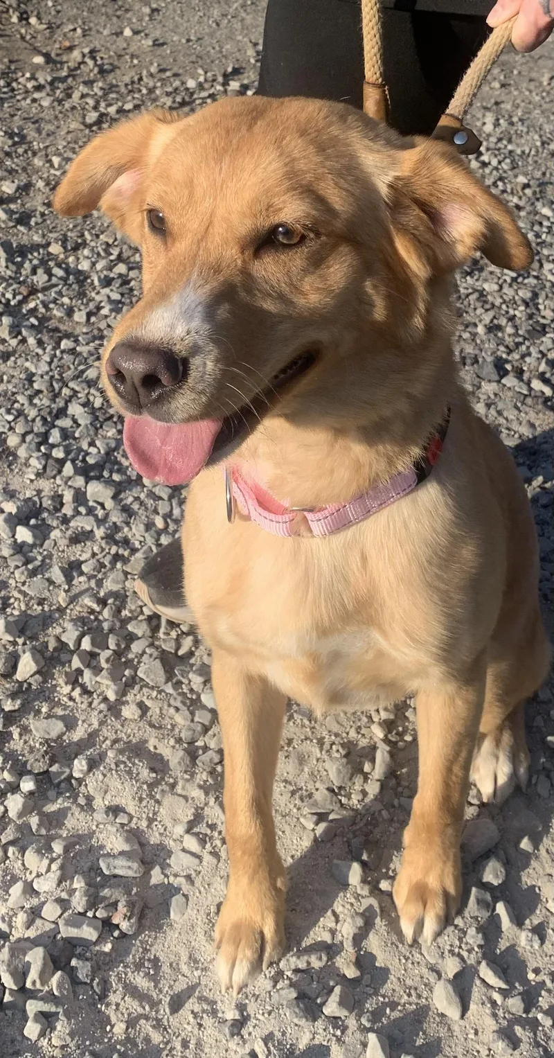 Carousel thumbnail 6