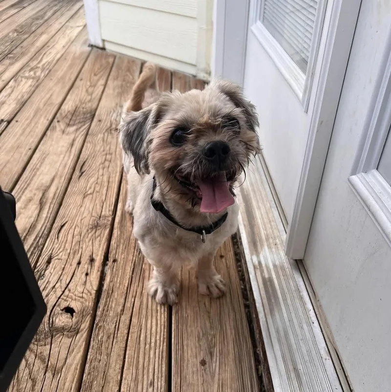 Sebastian