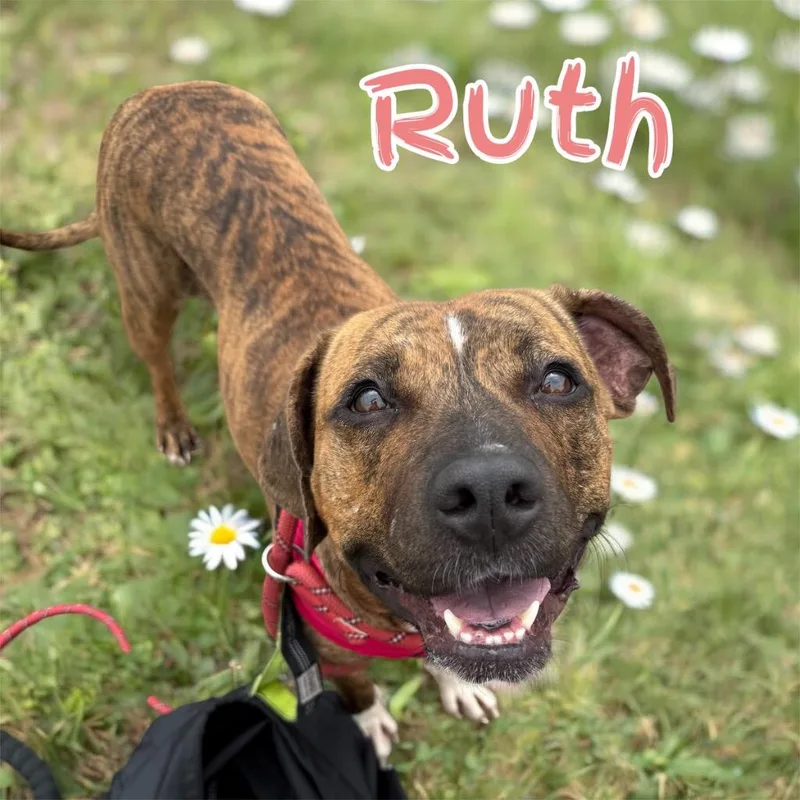 Ruth
