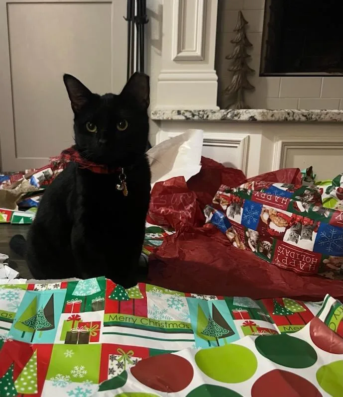 Milkshake thumbnail 2