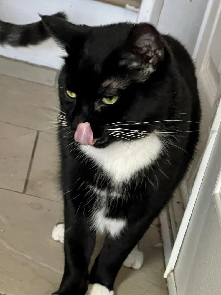 Sunshine thumbnail 4