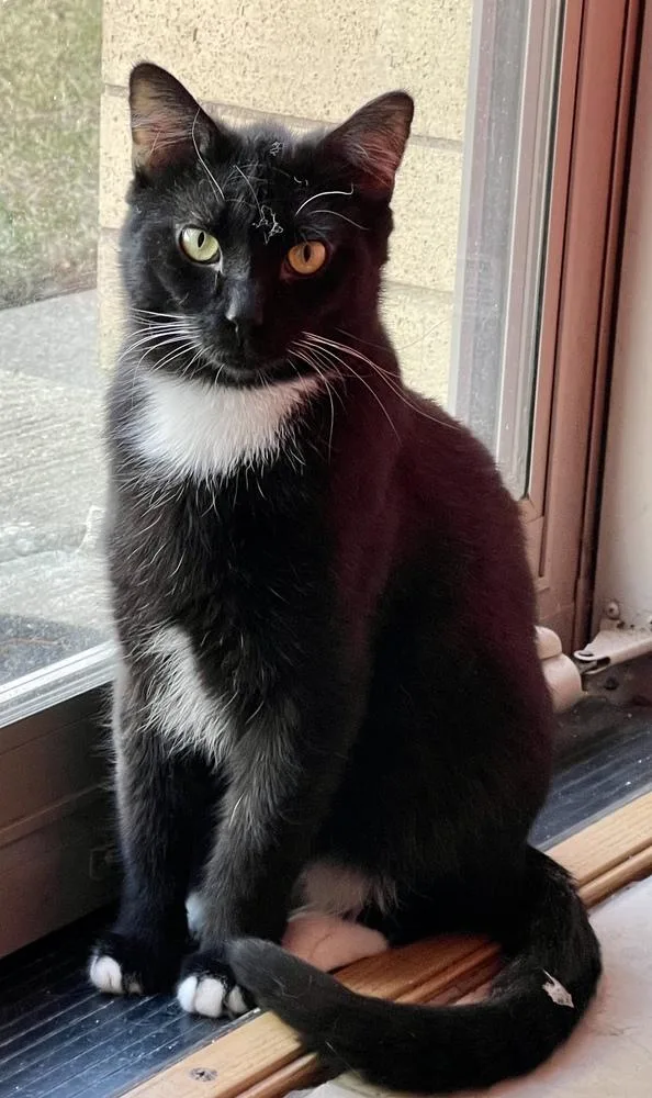 Sunshine thumbnail 6