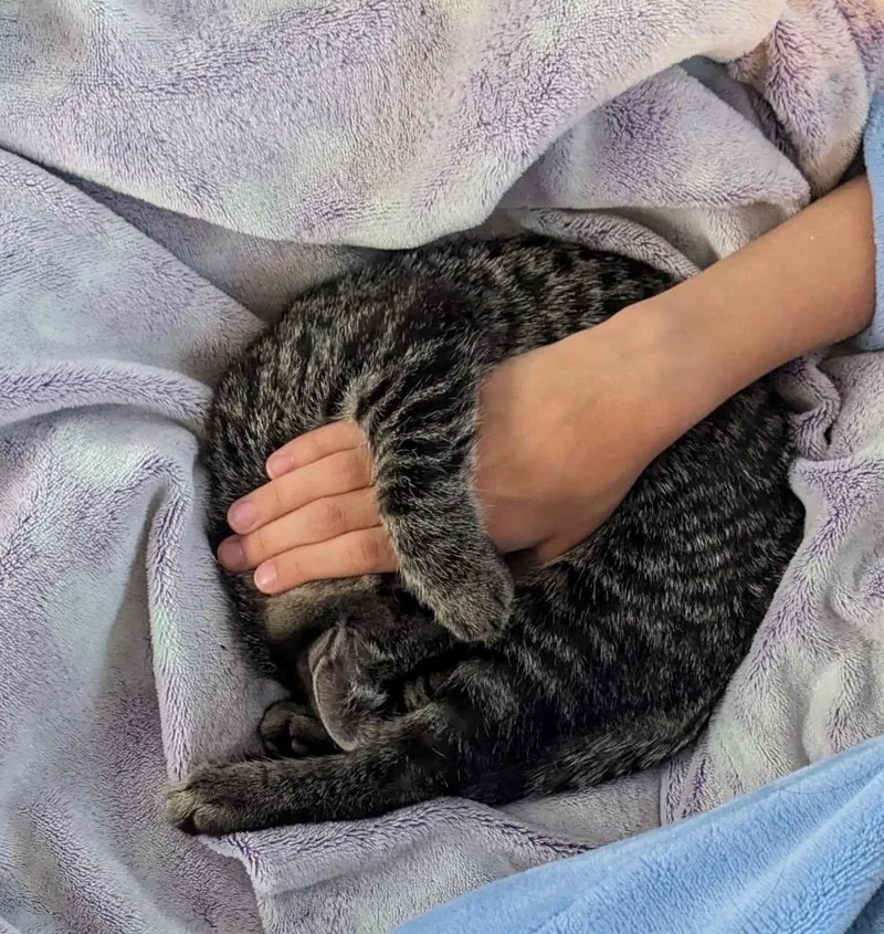 Blackberry & Peanut thumbnail 2