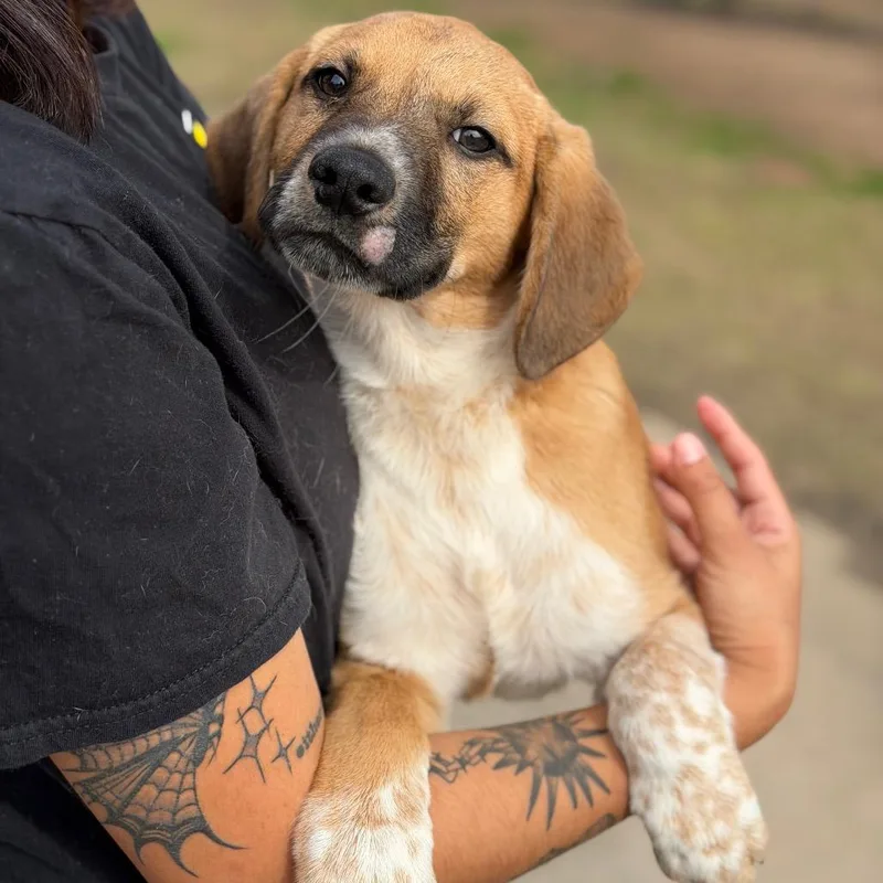 Winifred thumbnail 2