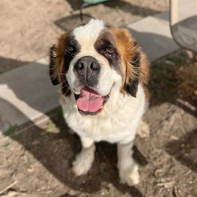Molly