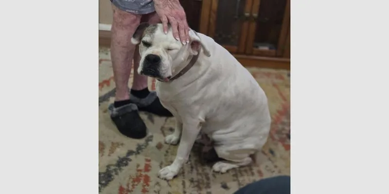 Rosie Vi thumbnail 2