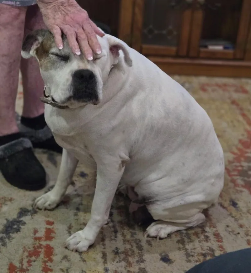 Rosie Vi thumbnail 3