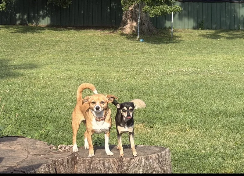 Darla and Pedro
